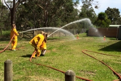 cfa